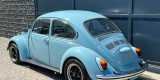 VW 1302 Marina Blau | Auto do ślubu Gdańsk, pomorskie - zdjęcie 2