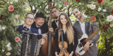 Folk and Show | Zespół muzyczny Gdańsk, pomorskie - zdjęcie 4