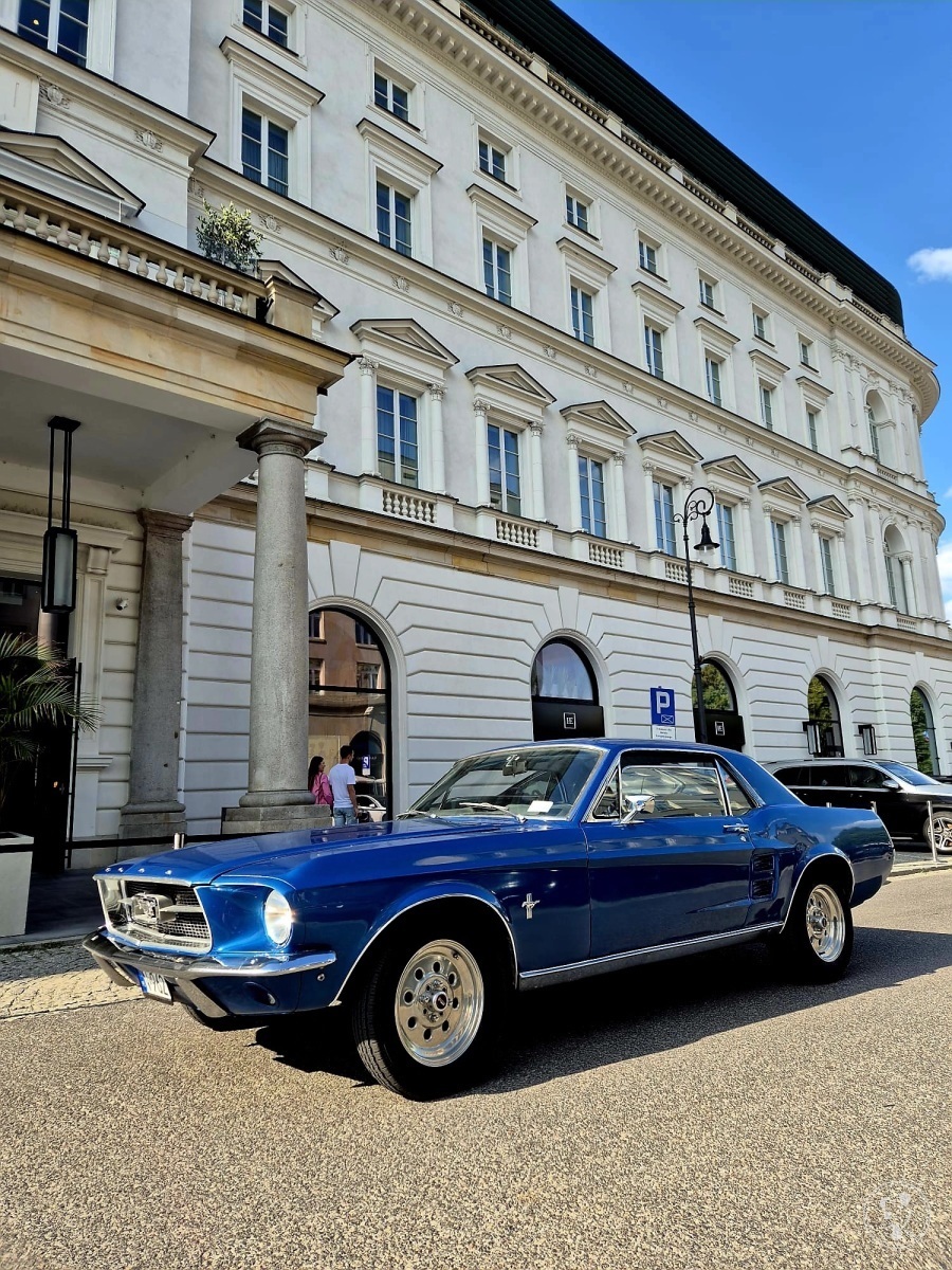 Ford Mustang 1966 Kamil Majcher | Auto do ślubu Warszawa, mazowieckie - zdjęcie 1