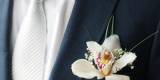 Koordynacja wesel i ślubów- Dush Wedding, Łomża - zdjęcie 3