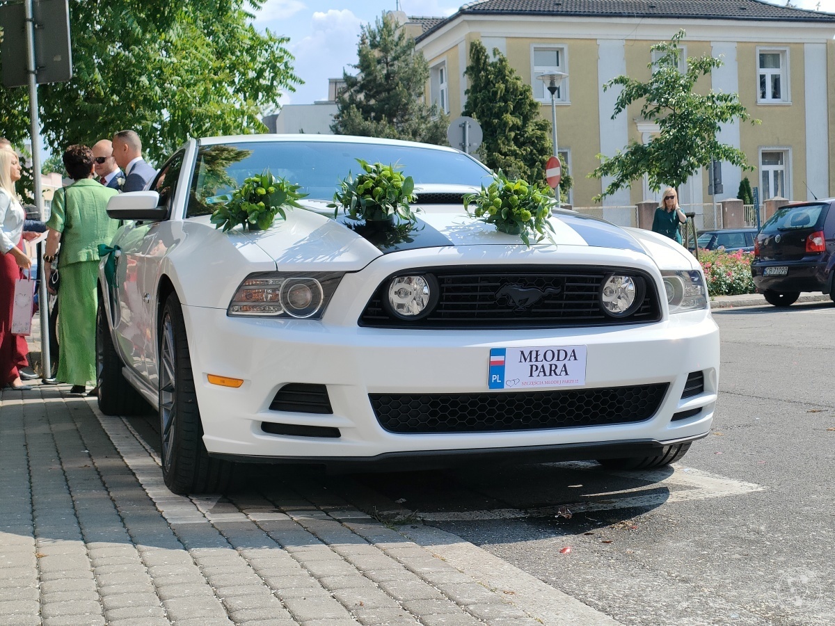 Ford Mustang GT do ślubu, biały | terminy 2022 | Auto do ślubu Inowrocław, kujawsko-pomorskie - zdjęcie 1