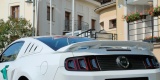 Ford Mustang GT do ślubu, biały | terminy 2022 | Auto do ślubu Inowrocław, kujawsko-pomorskie - zdjęcie 2