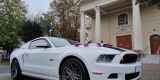 Ford Mustang GT do ślubu, biały | terminy 2022 | Auto do ślubu Inowrocław, kujawsko-pomorskie - zdjęcie 5