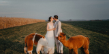 WEDDMEDIA - film | Kamerzysta na wesele Wrocław, dolnośląskie - zdjęcie 2