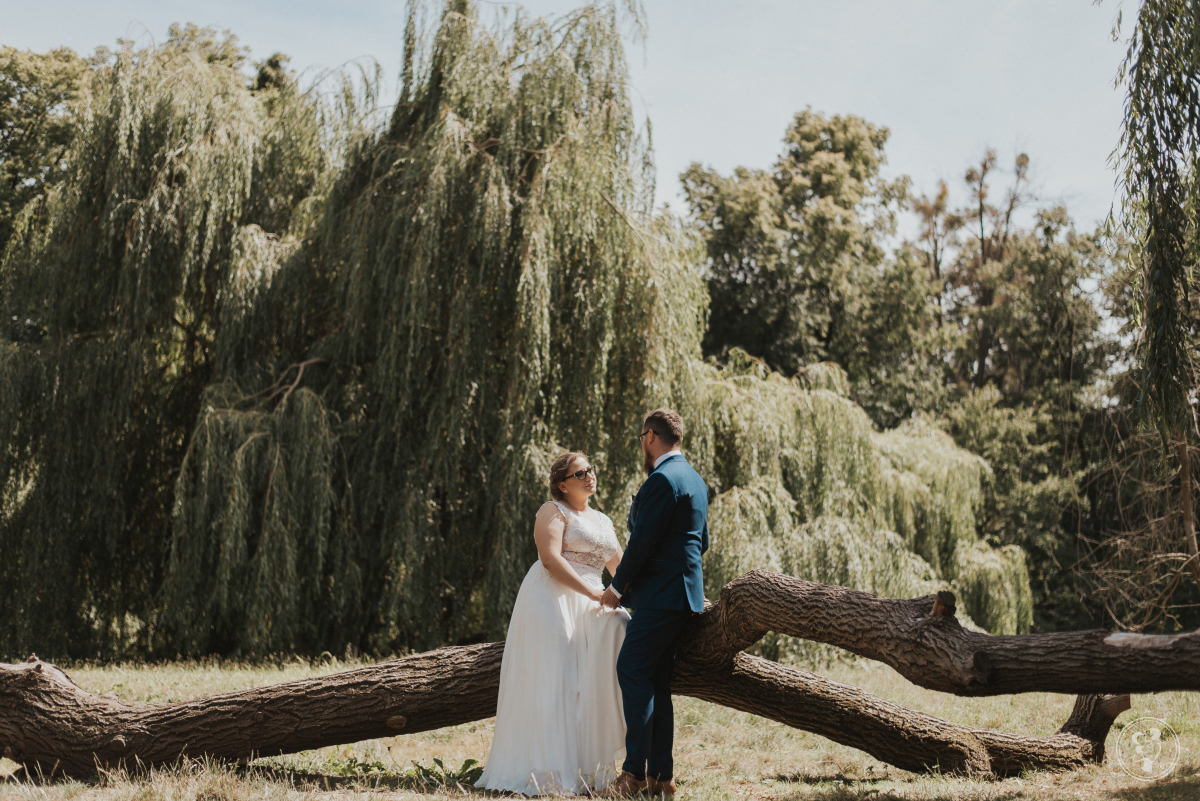 Tomasz Nadrowski | film| fotografia | Kamerzysta na wesele Wrocław, dolnośląskie - zdjęcie 1