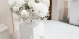 AK Party&Wedding | Dekoracje ślubne Duszniki, wielkopolskie - zdjęcie 3