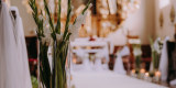 AK Party&Wedding | Dekoracje ślubne Duszniki, wielkopolskie - zdjęcie 5