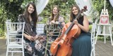 Flower Trio | Oprawa muzyczna ślubu Wisła, śląskie - zdjęcie 2