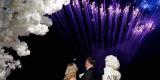 Viola Polska Wedding planner | Wedding planner Lublin, lubelskie - zdjęcie 2