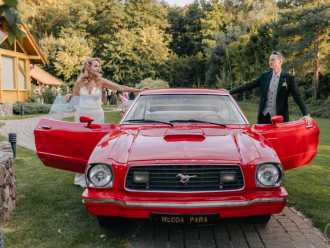 Natalia Krippendorf | Wedding planner Gdańsk, pomorskie