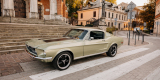 Ford Mustang Fastback z 1968r. | Auto do ślubu Spytkowice, małopolskie - zdjęcie 6