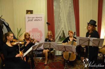 Kwartet smyczkowy Stay Tuned, Zespoły weselne Łódź
