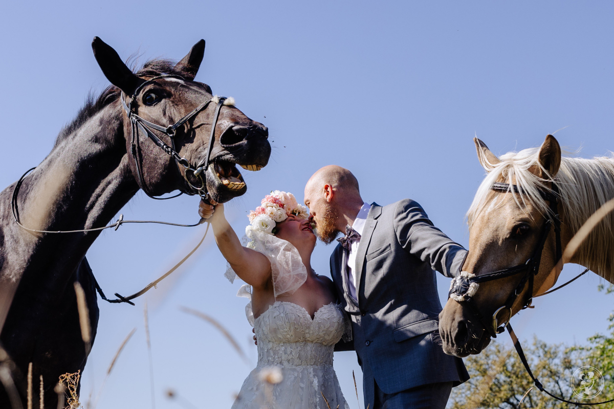 Fotosm Foto i Film Mariusz Strzępek | Fotograf ślubny Nasale, opolskie - zdjęcie 1