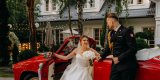 Opowieści Aleksandry - fotografia | Fotograf ślubny Warszawa, mazowieckie - zdjęcie 2
