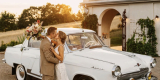 Wołga Gaz M24/M21 Lincoln Excalibur | Auto do ślubu Kraków, małopolskie - zdjęcie 4