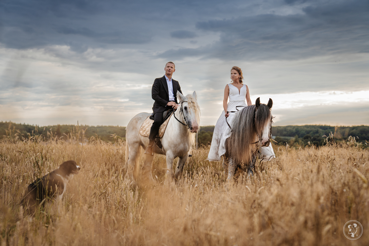 Fotografia & Film - Studio Walke | Fotograf ślubny Puck, pomorskie - zdjęcie 1