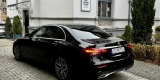 Vip Transfer - Mercedes E klasa | Auto do ślubu Gdańsk, pomorskie - zdjęcie 5