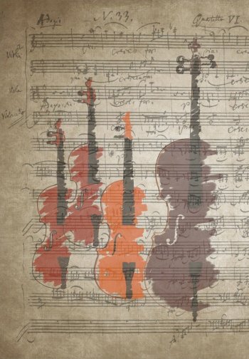 Skrzypce na ślub | Oprawa muzyczna ślubu Sochaczew, mazowieckie