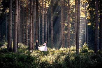 Elmosswed Fotografia | Fotograf ślubny Lwówek Śląski, dolnośląskie