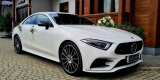 Do Ślubu Mercedesem | Auto do ślubu Nowy Sącz, małopolskie - zdjęcie 2
