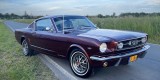 Ford Mustang Fastback GT 1966 V8 | Auto do ślubu Wrocław, dolnośląskie - zdjęcie 5