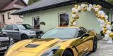Dodge,Mustang,Corvetta,Maserati | Auto do ślubu Katowice, śląskie - zdjęcie 2