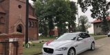 Jaguar Mercedes Mustang Audi | Auto do ślubu Poznań, wielkopolskie - zdjęcie 3