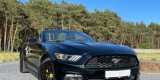 Jaguar Mercedes Mustang Audi | Auto do ślubu Poznań, wielkopolskie - zdjęcie 5