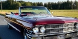 Impala Supernatural Pontiac Tempest | Auto do ślubu Kielce, świętokrzyskie - zdjęcie 3