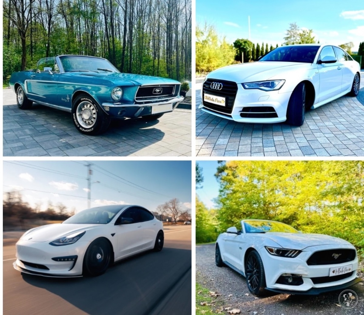 Auto do ślubu MUSTANG cabrio GT AUDI A6 Klasyk Mustang wynajem | Auto do ślubu Mielec, podkarpackie - zdjęcie 1