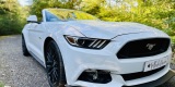 Auto do ślubu MUSTANG cabrio GT AUDI A6 Klasyk Mustang wynajem | Auto do ślubu Mielec, podkarpackie - zdjęcie 5