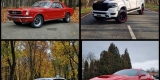 Zabytkowy Ford Mustang Auta USA | Auto do ślubu Kraków, małopolskie - zdjęcie 2