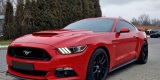 Zabytkowy Ford Mustang Auta USA | Auto do ślubu Kraków, małopolskie - zdjęcie 4