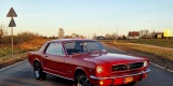 Zabytkowy Ford Mustang Auta USA | Auto do ślubu Kraków, małopolskie - zdjęcie 6
