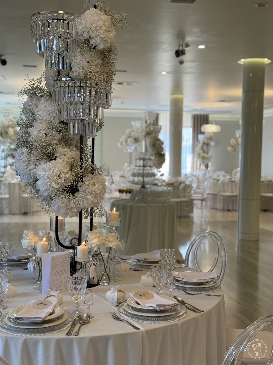 Hotel Salve | Sala weselna Głogówek, opolskie - zdjęcie 1