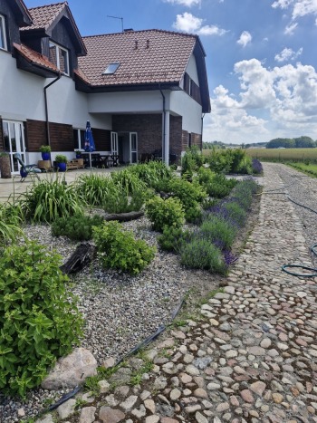 Pola i łąki Domachowa | Sala weselna Dzierzgoń, pomorskie