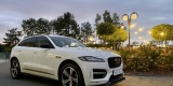 Jaguar, Volvo, Mercedes, Tesla, BMW | Auto do ślubu Łomża, podlaskie - zdjęcie 2