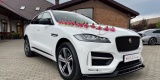 Jaguar, Volvo, Mercedes, Tesla, BMW | Auto do ślubu Łomża, podlaskie - zdjęcie 4