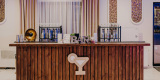 Usługi barmańskie Vintage Bar | Barman na wesele Toruń, kujawsko-pomorskie - zdjęcie 6