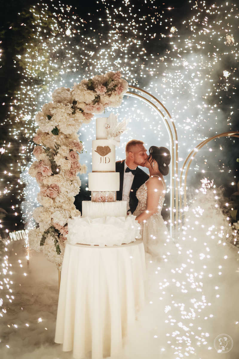 La Vinci Wedding / Anna Kołaczek | Wedding planner Bydgoszcz, kujawsko-pomorskie - zdjęcie 1