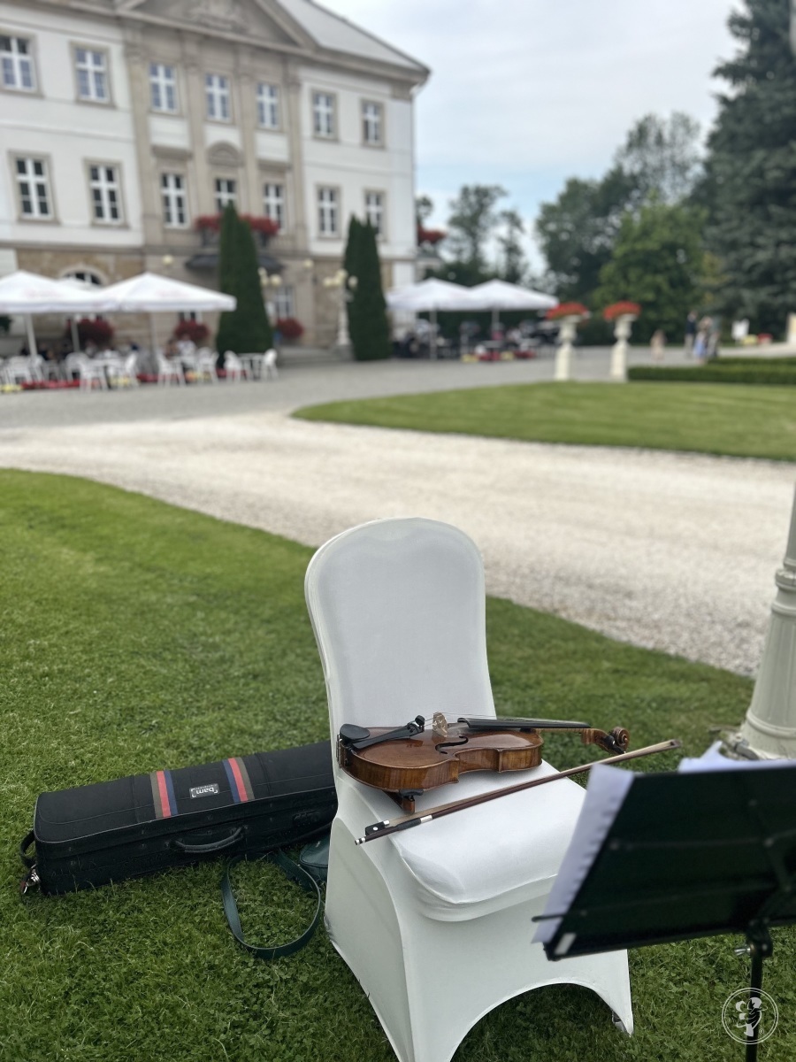 TioMio | Oprawa muzyczna ślubu Wrocław, dolnośląskie - zdjęcie 1