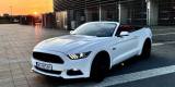 Mustang GT 5.0 Cabrio | Auto do ślubu Lublin, lubelskie - zdjęcie 3