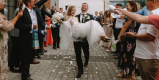 Falkiewiczphoto | Fotograf ślubny Gdańsk, pomorskie - zdjęcie 3
