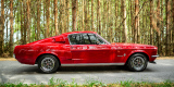Mustang Fastback z 1967 roku | Auto do ślubu Rzeszów, podkarpackie - zdjęcie 3