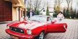 Czerwony Ford Mustang 1975 | Auto do ślubu Gdańsk, pomorskie - zdjęcie 4