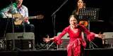 Danza del fuego - pokaz Flamenco | Pokaz tańca na weselu Bydgoszcz, kujawsko-pomorskie - zdjęcie 4