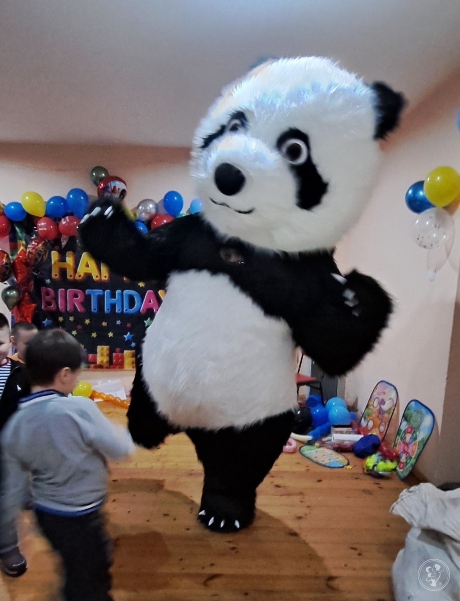 Miś Panda na wynajem 2,6m | Unikatowe atrakcje Olsztyn, warmińsko-mazurskie - zdjęcie 1