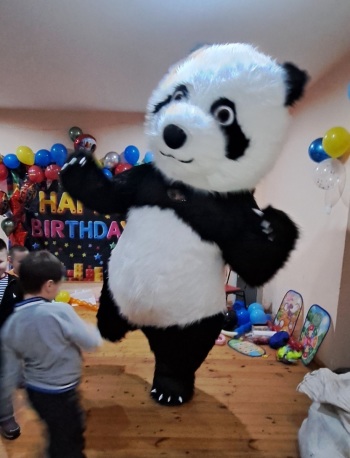 Miś Panda na wynajem 2,6m | Unikatowe atrakcje Olsztyn, warmińsko-mazurskie