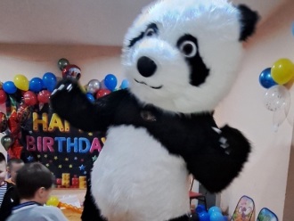 Miś Panda na wynajem 2,6m | Unikatowe atrakcje Olsztyn, warmińsko-mazurskie