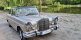 Mercedesy W110 skrzydlak i CLS C219 | Auto do ślubu Łódź, łódzkie - zdjęcie 6